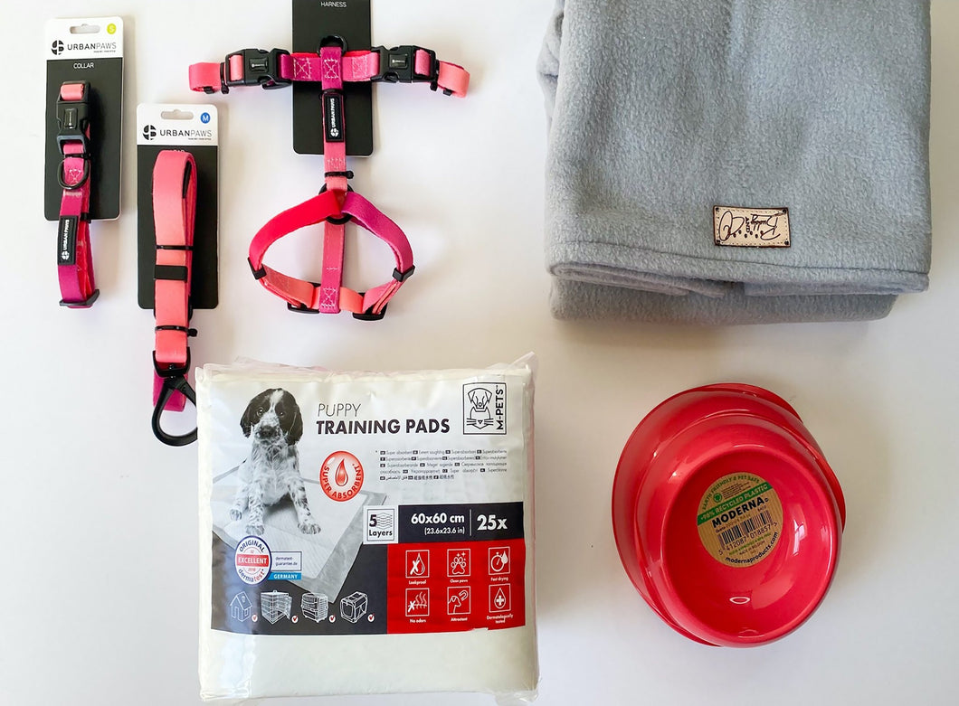 Essentials Puppy Kit